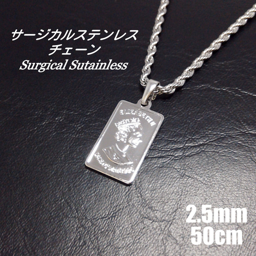 シルバー ステンレススチール コインペンダントネックレス シルバー]エリザベスコインネックレス – CENE