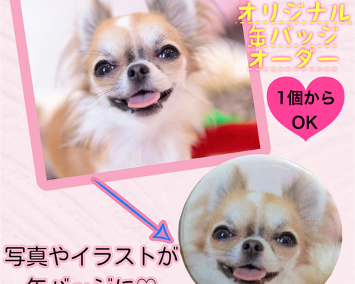 お好きな写真で缶バッジ 犬猫 わんこ ペット イラスト データ