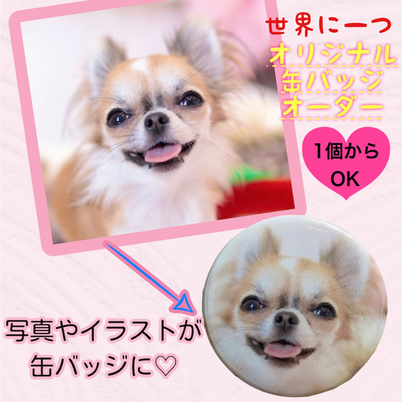 お好きな写真で缶バッジ 犬猫 わんこ ペット イラスト データ