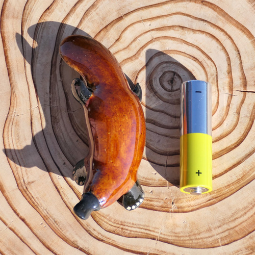 カモノハシ 置物（飴釉） 彫刻 セラミミック 通販 15305137｜Creema