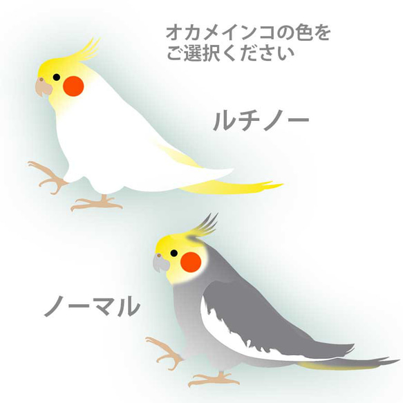 オカメインコ カラビナ付きミニ財布 二つ折り ボックス型 フルオープン ギャルソンタイプ 小銭入れ 伸びる リール 財布 2枚目の画像