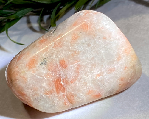 8534768f2731c6a1fe95714d00fba8