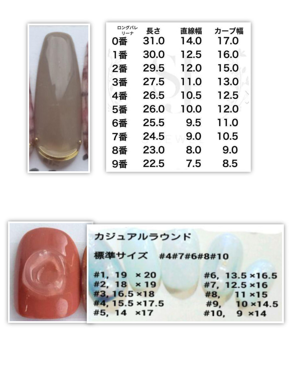 お試し価格　アクサリー スワロ フレンチネイル 3枚目の画像