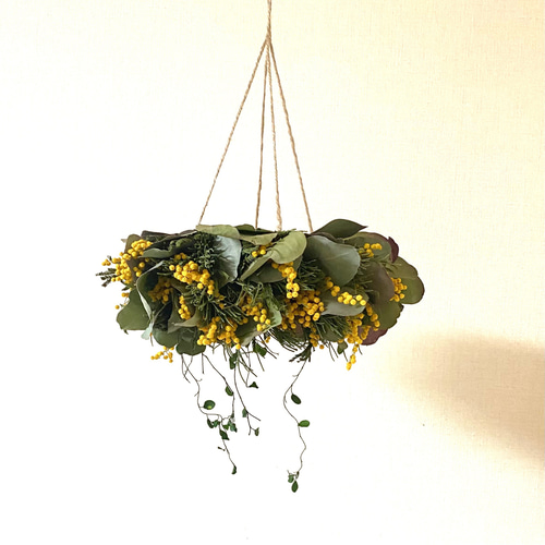 フライングリース　ミモザ　ユーカリ 送料無料】ドライミモザとユーカリのフライングリース リース