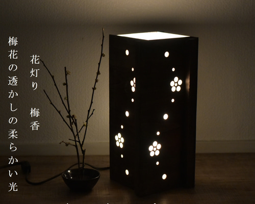 70a247c693b06930f5ceef67005661