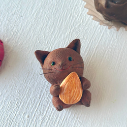 巧克力般的貓咪獨奏套餐 第2張的照片