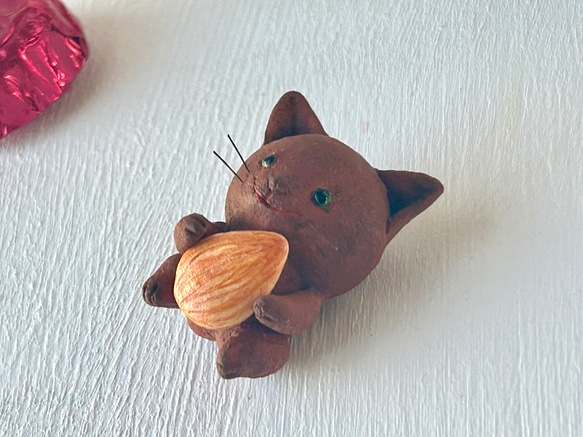 巧克力般的貓咪獨奏套餐 第1張的照片