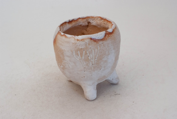 Top【選抜株】多肉植物　21915 ミルクティー20個　鉢無し/脱土 陶器製 #多肉植物 の欲しがる 植木鉢 C-41-5969 一輪挿し・花瓶・花器