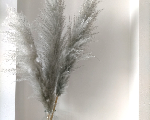 126383d301b6151f1ba8c971b17704