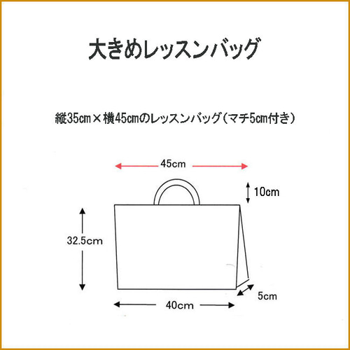 Rさま⭐︎専用入園入学セット　フリルレッスンバッグ　大きめ　保育園　チェックピンク Rさま⭐︎専用入園入学セット　フリルレッスンバッグ　大きめ　保育園　チェックピンク
