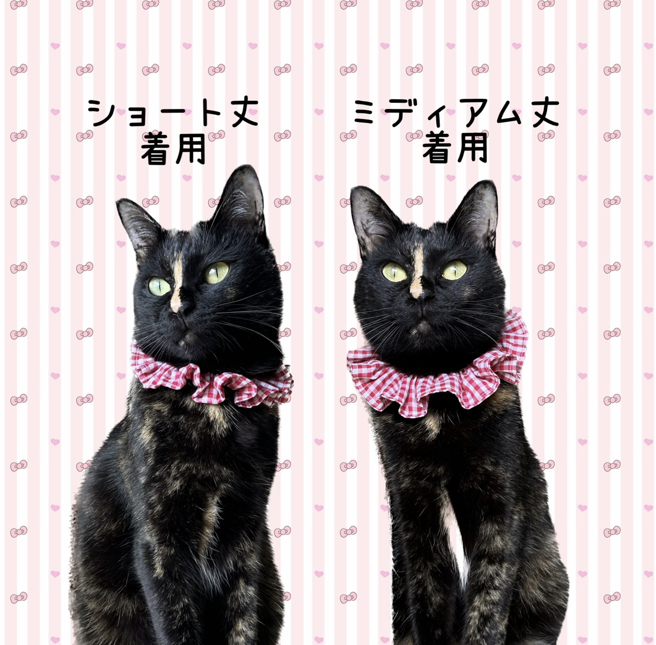 カメリア(ベージュ)短毛シュシュ、わんちゃん猫ちゃん用