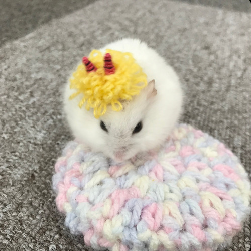 節分・鬼さんのもじゃもじゃカツラ ハムスター・小動物