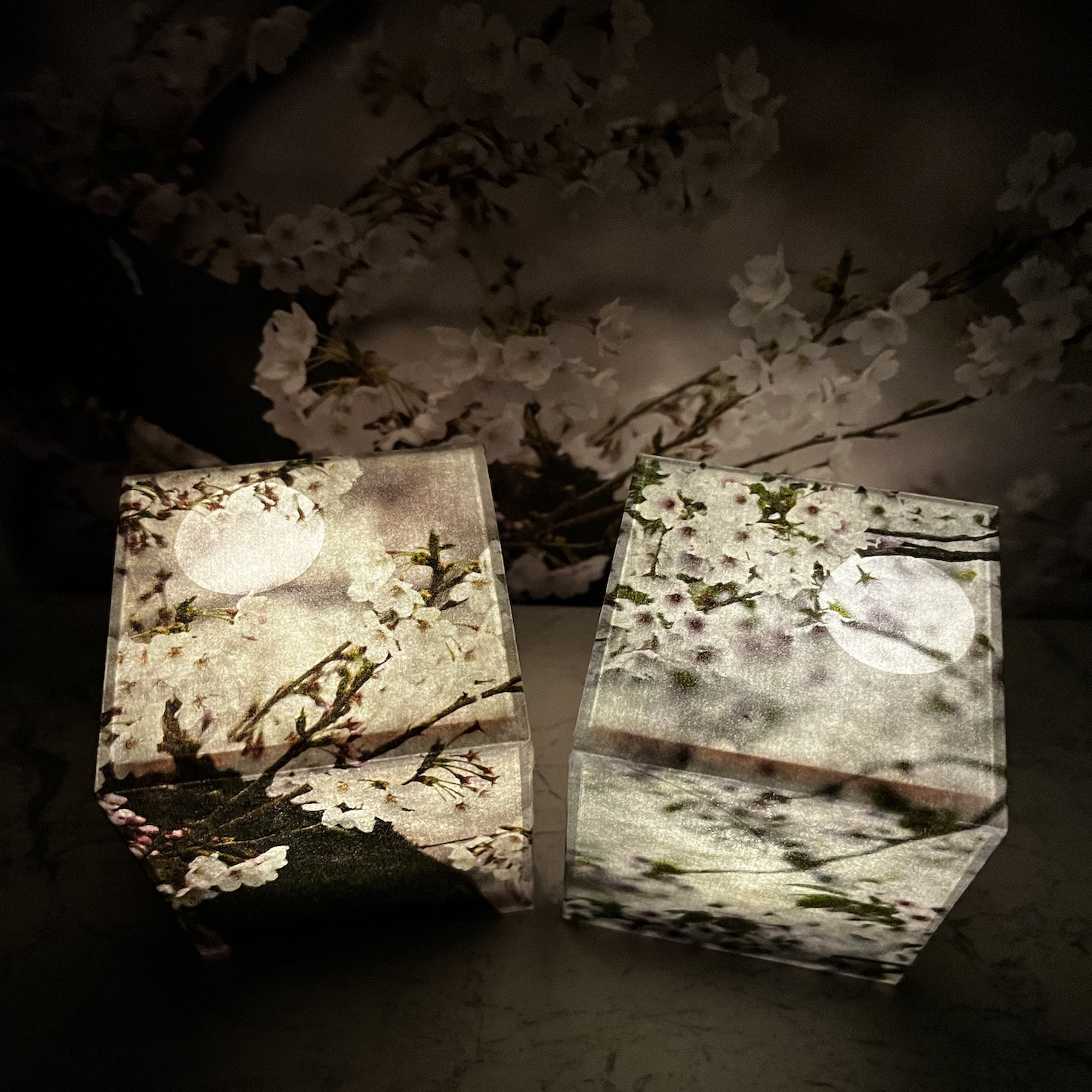 夜桜（充電式）