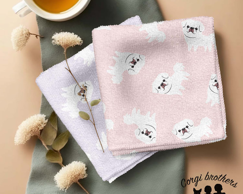 3c86e9bcce9ecd12c4a0522edacb86