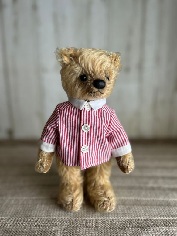 テディベアデザイン Tシャツ Lサイズ ブラウン coen Teddy Bear（テディベア）別注プリントTシャツ