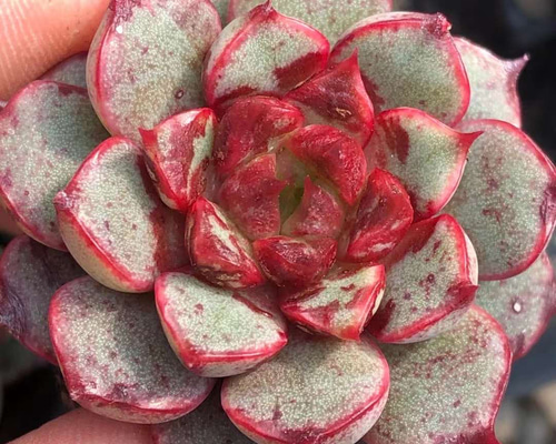 06134c76b799ae4035875e2a7248ca