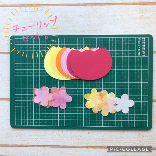 ✳︎【最終販売】⭐︎パープル見開き色紙セット⭐︎色紙