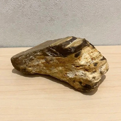 北海道産 ペトリファイドウッド レア産地 珪化木原石 天然石 北海道産 ペトリファイドウッド レア産地 珪化木原石 天然石