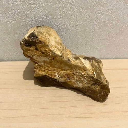 北海道産 ペトリファイドウッド レア産地 珪化木原石 天然石 北海道産 ペトリファイドウッド レア産地 珪化木原石 天然石