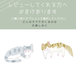 【ボンド不使用】♡国産またたび入りテトラ 4個セット♡バイカラーでかわいい！二枚重ねで破けにくい　一辺4㎝ 4枚目の画像