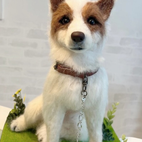 大きいサイズ♡柴犬 MIX犬 大型犬など♡世界でたった一つ