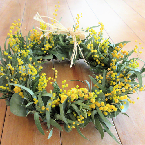 春のミモザリース　ミモザ＆アカヅル 春のミモザリース ミモザ＆アカヅル mimosa 春の花ミモザのワイヤー
