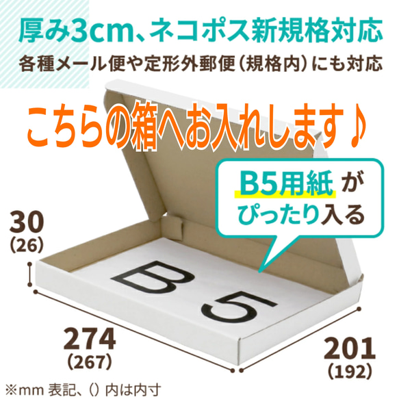 【容器無し】ネコポス発送♪ 完熟白干し梅400g×2 (A-B級品) 4枚目の画像