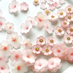 特集掲載　桜の花束ピアス/イヤリング 6枚目の画像