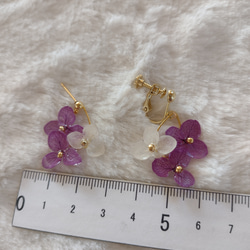 【受注生産】本物の紫陽花　アナベル　ゆらゆらイヤリング　ピアス　パープル 紫陽花ハンドメイド2024 7枚目の画像