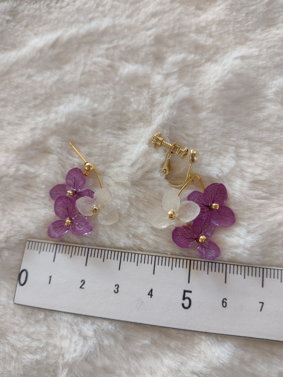 【受注生産】本物の紫陽花　アナベル　ゆらゆらイヤリング　ピアス　パープル 紫陽花ハンドメイド2024 7枚目の画像