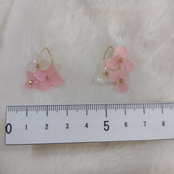 【受注生産】本物の紫陽花アナベル　ゆらゆらイヤリング／ピアス　桜ピンク 6枚目の画像