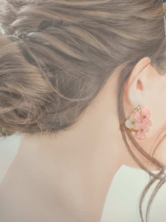 【受注生産】本物の紫陽花アナベル　ゆらゆらイヤリング／ピアス　桜ピンク 5枚目の画像