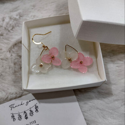 【受注生産】本物の紫陽花アナベル　ゆらゆらイヤリング／ピアス　桜ピンク 8枚目の画像