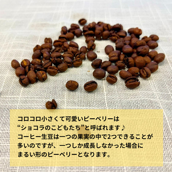 ブラジル プレミアムショコラピーベリー［100g］/スペシャルティコーヒー/自家焙煎コーヒー豆/粉 2枚目の画像