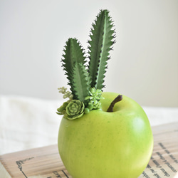 タニクアップル！？ 青リンゴとサボテンと多肉植物　フェイクグリーン　アーティフィシャルフラワー 5枚目の画像