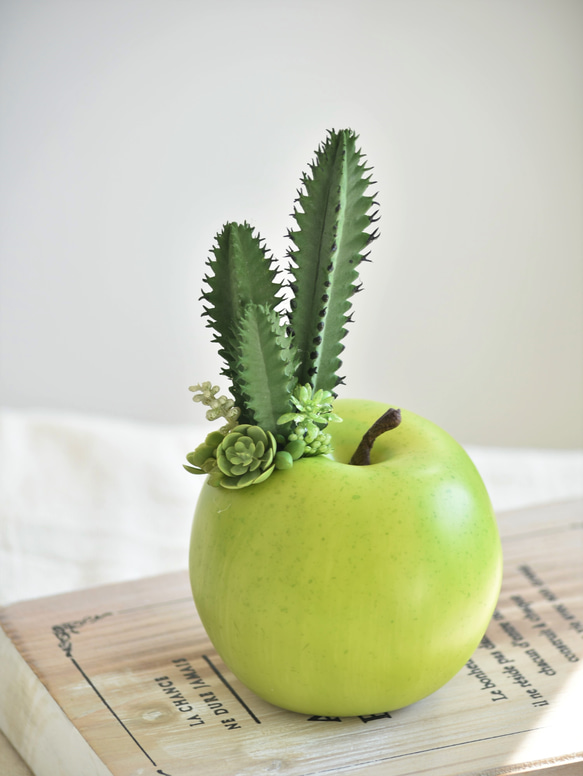 タニクアップル！？ 青リンゴとサボテンと多肉植物　フェイクグリーン　アーティフィシャルフラワー 5枚目の画像