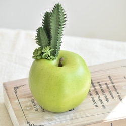 タニクアップル！？ 青リンゴとサボテンと多肉植物　フェイクグリーン　アーティフィシャルフラワー 3枚目の画像