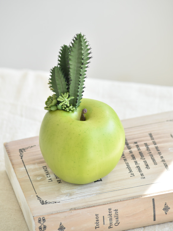 タニクアップル！？ 青リンゴとサボテンと多肉植物　フェイクグリーン　アーティフィシャルフラワー 3枚目の画像