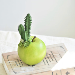 タニクアップル！？ 青リンゴとサボテンと多肉植物　フェイクグリーン　アーティフィシャルフラワー 2枚目の画像