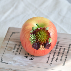 【限定１点】タニクアップル！？ リンゴと多肉植物　フェイクグリーン　アーティフィシャルフラワー 5枚目の画像