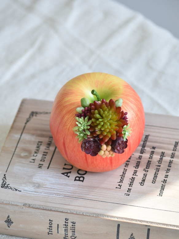 【限定１点】タニクアップル！？ リンゴと多肉植物　フェイクグリーン　アーティフィシャルフラワー 5枚目の画像