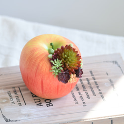 【限定１点】タニクアップル！？ リンゴと多肉植物　フェイクグリーン　アーティフィシャルフラワー 3枚目の画像