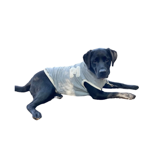 イニシャタンクトップ　スウェット　フーディー　犬服　服 カレッジ 10枚目の画像
