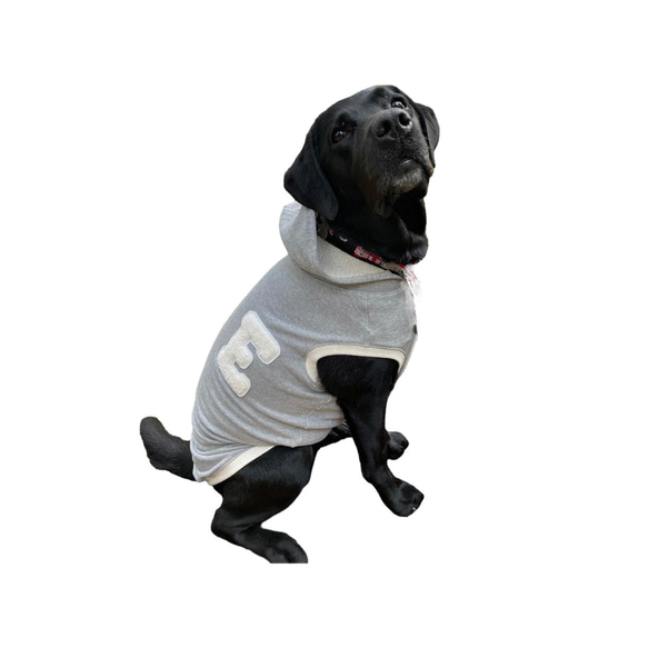 イニシャタンクトップ　スウェット　フーディー　犬服　服 カレッジ 9枚目の画像