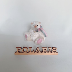手のひらサイズのテディベア（カラフル2号） ぬいぐるみ POLARIS BEAR