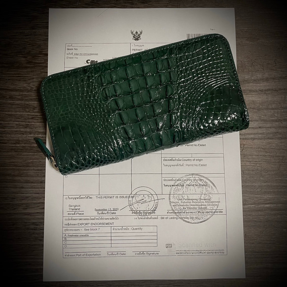 クロコダイル ワイルド 長財布 背部 一枚革 本物証明付 グリーン 緑 本革 ワニ革 背ワニ 9枚目の画像