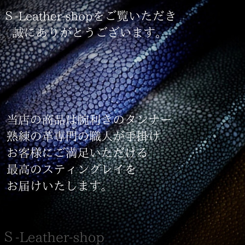 スティングレイ メンズ 長財布 エイ グリーン ギャルソンタイプ 