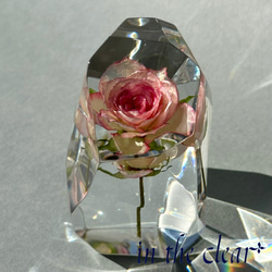 植物標本　薔薇　ピンクの縁どり　レジン　鉱石型 4枚目の画像