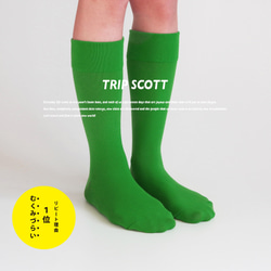 むくみにくい靴下 キナリノ掲載 レディースソックス green 靴下 【緑】 フィット「TRIP SCOTT」むくまない 1枚目の画像