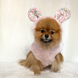 犬服♡ひまわり ヘアアクセサリー ブーケキャップ ペット服